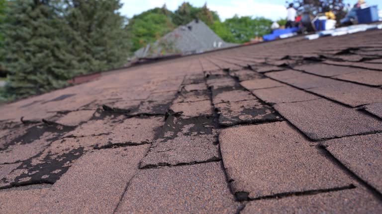 Fast & Reliable Emergency Roof Repairs in Woodsfield, OH